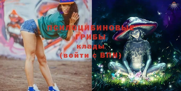 СК Алексин