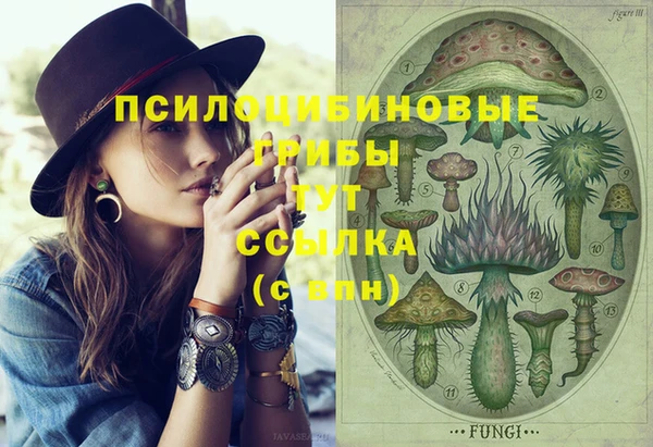 apvp Алексеевка