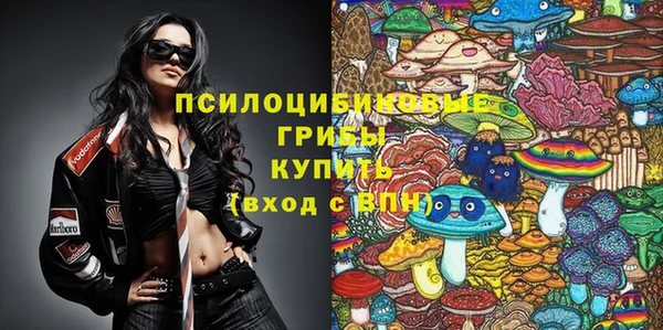 СК Алексин
