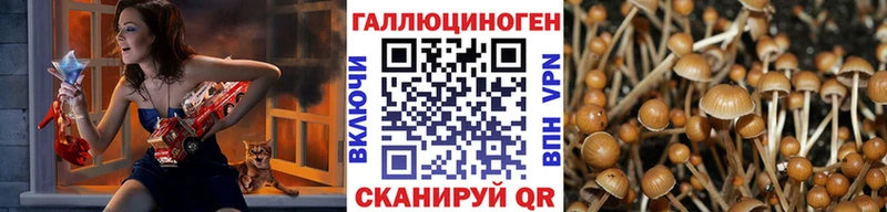 blacksprut ССЫЛКА  Остров  Псилоцибиновые грибы Psilocybe 